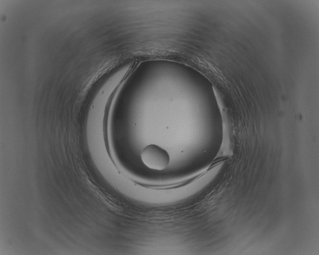 X0000073420735200608251549