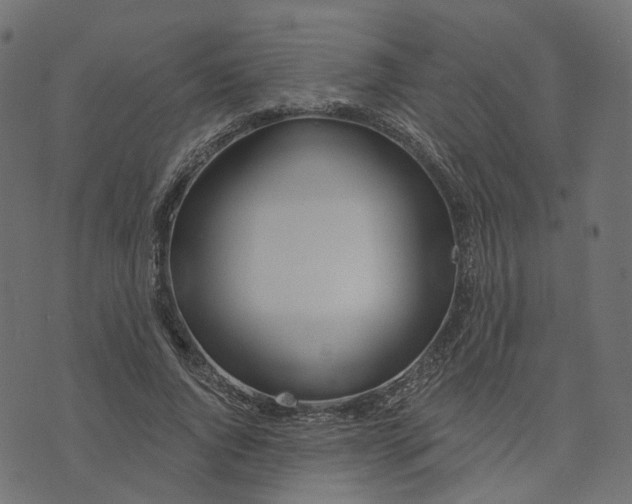 X0000073420736200608251549