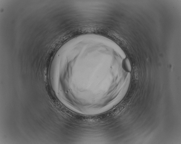 X0000073420737200608251549