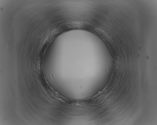 X0000073420739200608251549