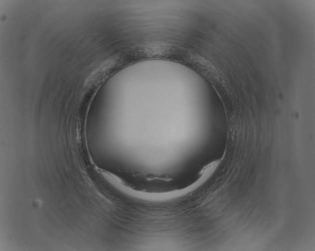 X0000073420740200608251549