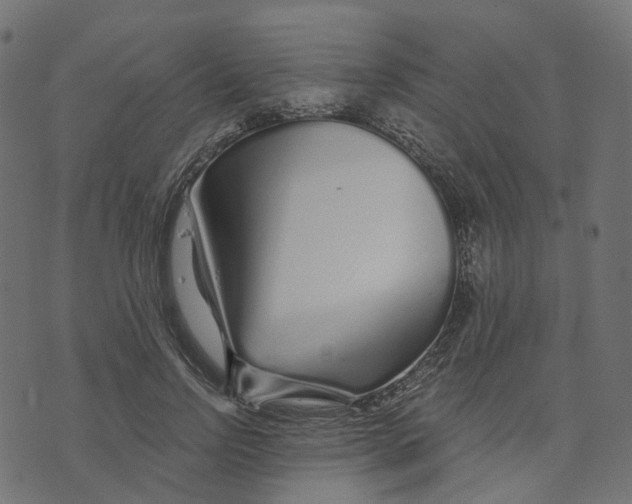 X0000073420742200608251549