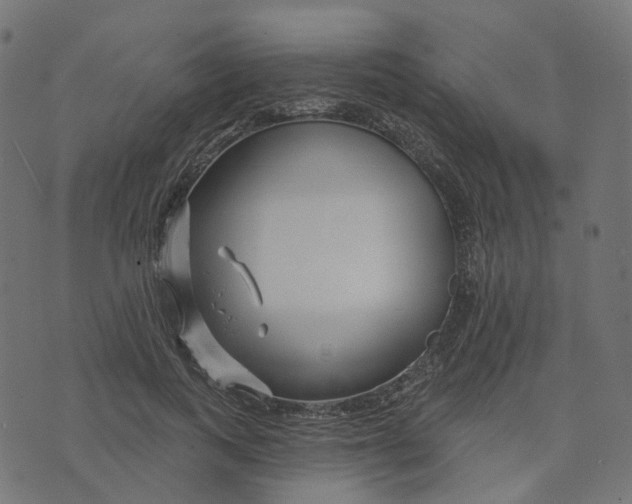 X0000073420743200608251549