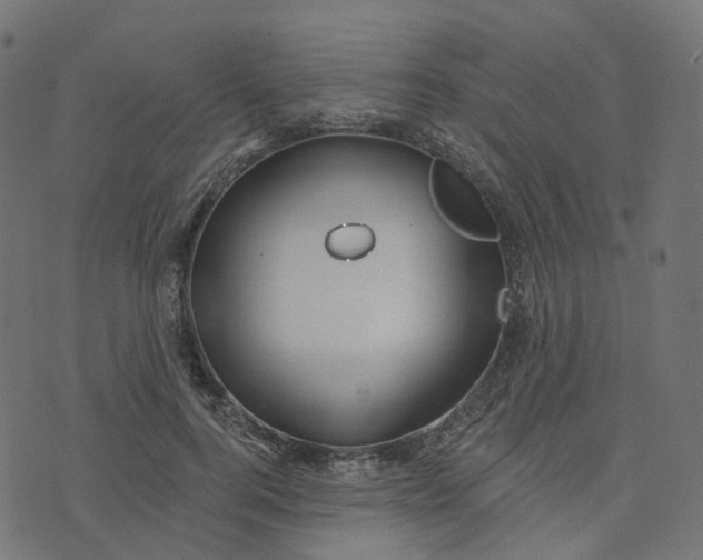 X0000073420744200608251550