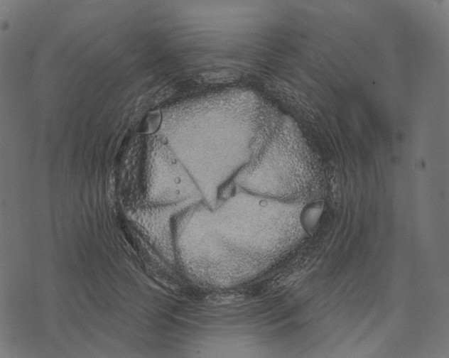 X0000073420745200608251550