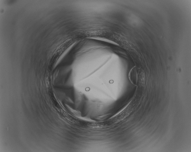 X0000073420746200608251550