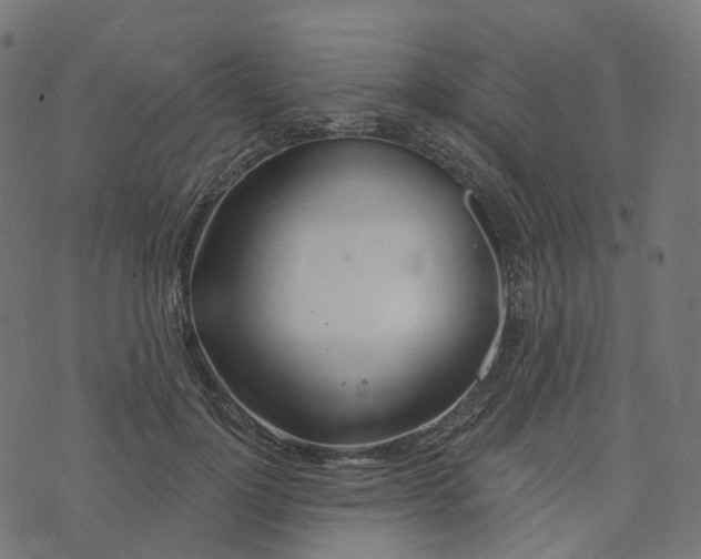 X0000073420748200608251550