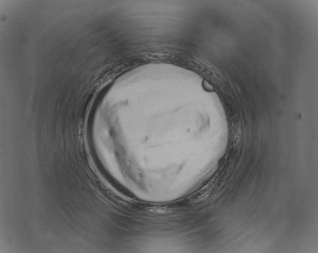 X0000073420749200608251550