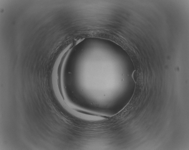 X0000073420750200608251550