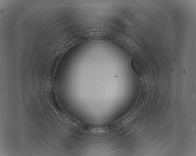 X0000073420751200608251550