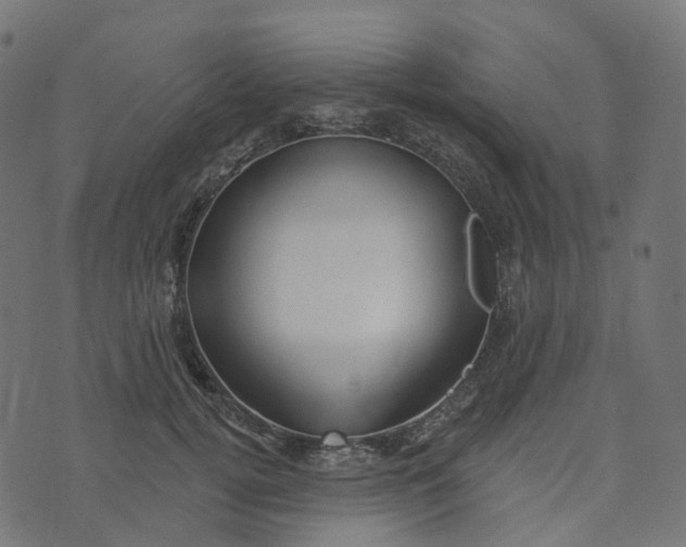 X0000073420752200608251550