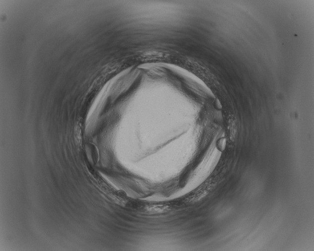 X0000073420753200608251550