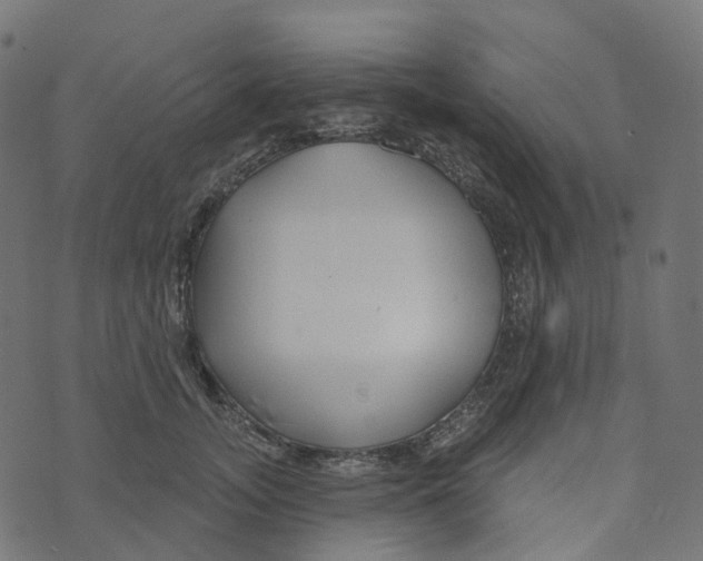 X0000073420755200608251550