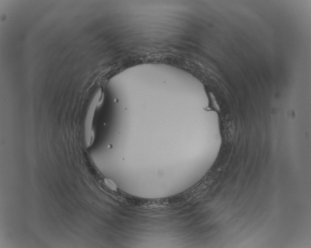 X0000073420756200608251550