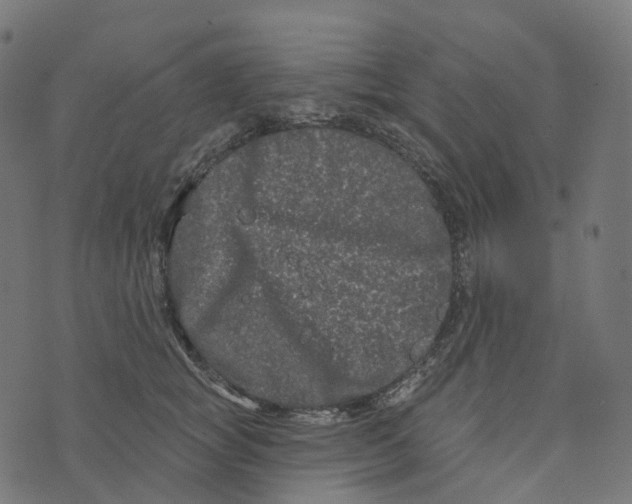 X0000073420757200608251550