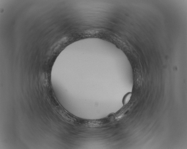 X0000073420758200608251550