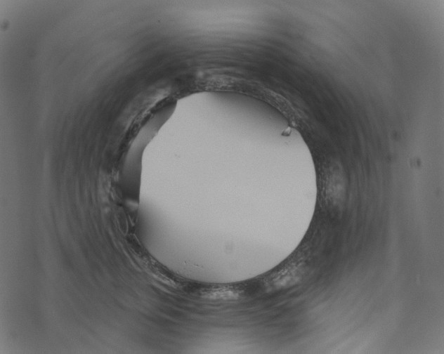 X0000073420759200608251550