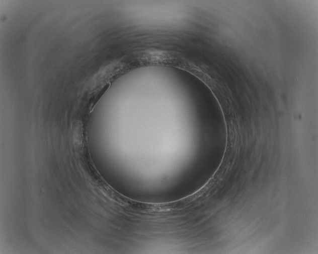 X0000073420760200608251550