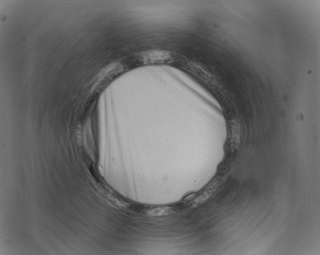 X0000073420761200608251550