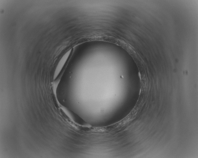 X0000073420762200608251550