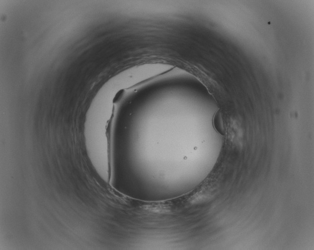 X0000073420763200608251550