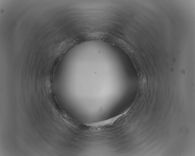 X0000073420764200608251550