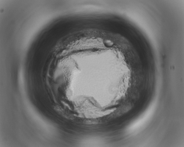 X0000073420765200608251550