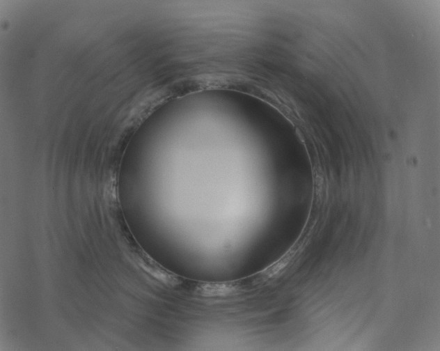 X0000073420766200608251550