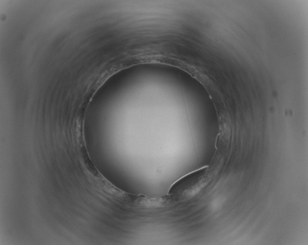 X0000073420767200608251550