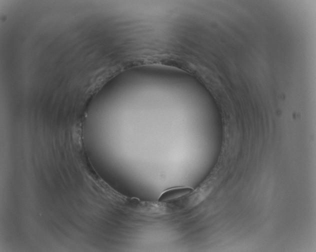 X0000073420768200608251550