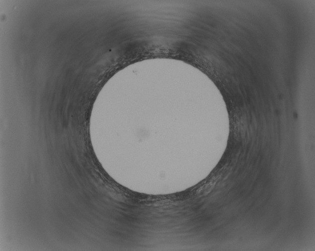 X0000073420769200608251549