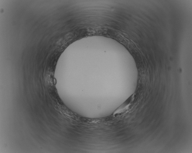 X0000073420770200608251549