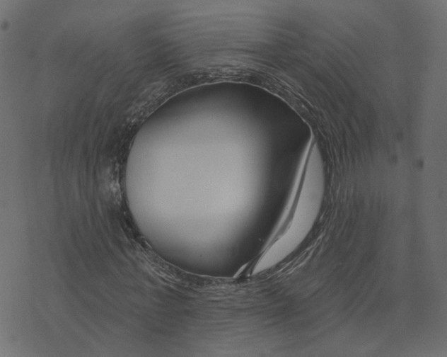 X0000073420771200608251549