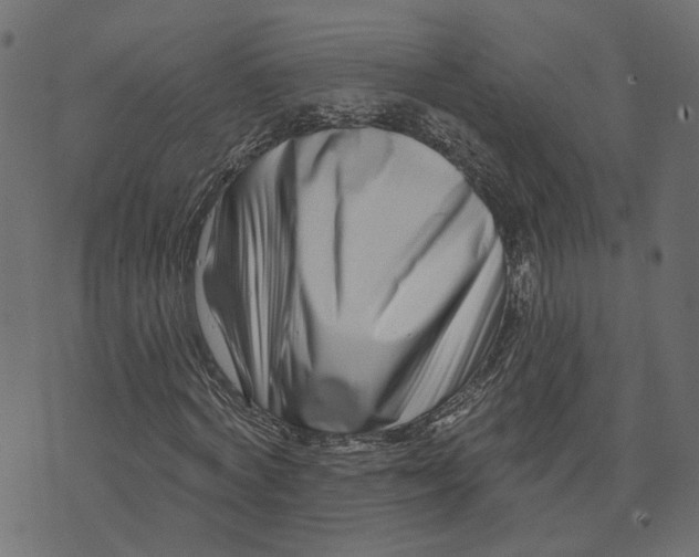 X0000073420772200608251549