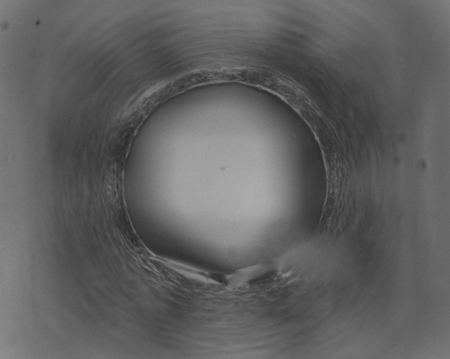 X0000073420773200608251549