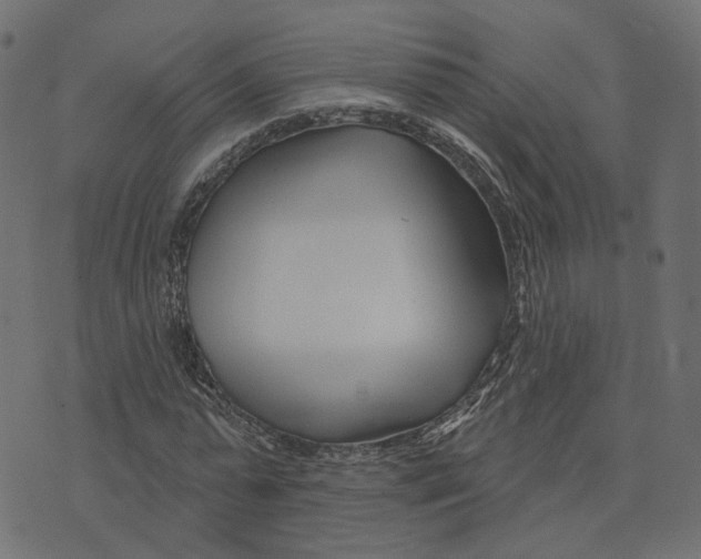 X0000073420775200608251549