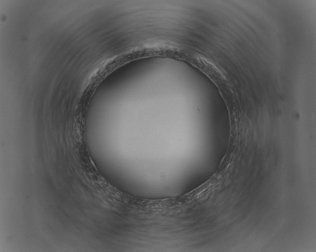 X0000073420776200608251549