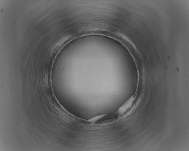 X0000073420777200608251549