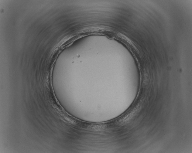 X0000073420778200608251549