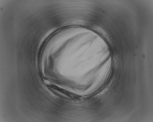 X0000073420780200608251549