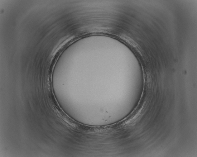 X0000073420782200608251549