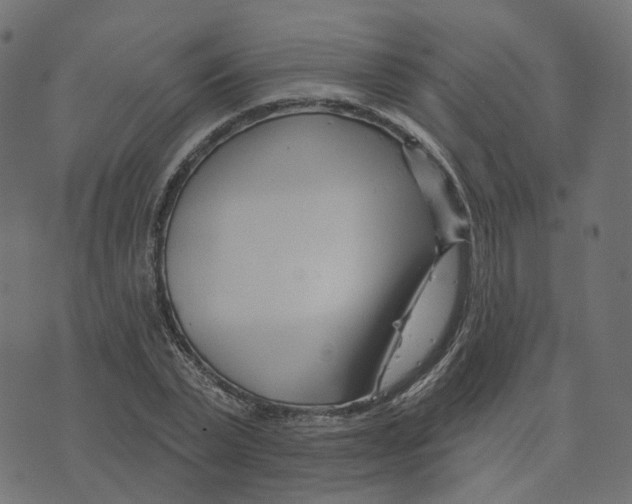 X0000073420783200608251549