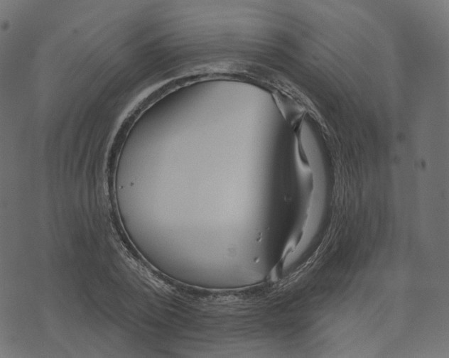 X0000073420784200608251549