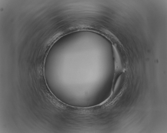 X0000073420785200608251549