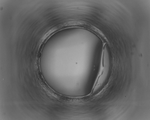 X0000073420786200608251549