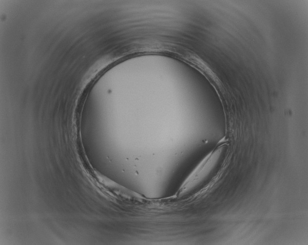 X0000073420787200608251549