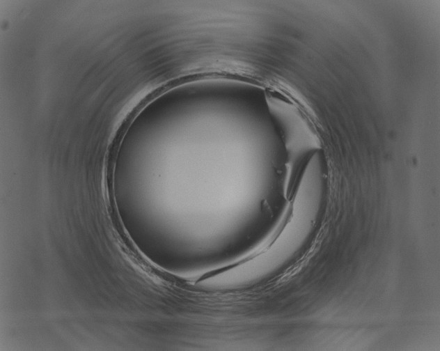 X0000073420788200608251549