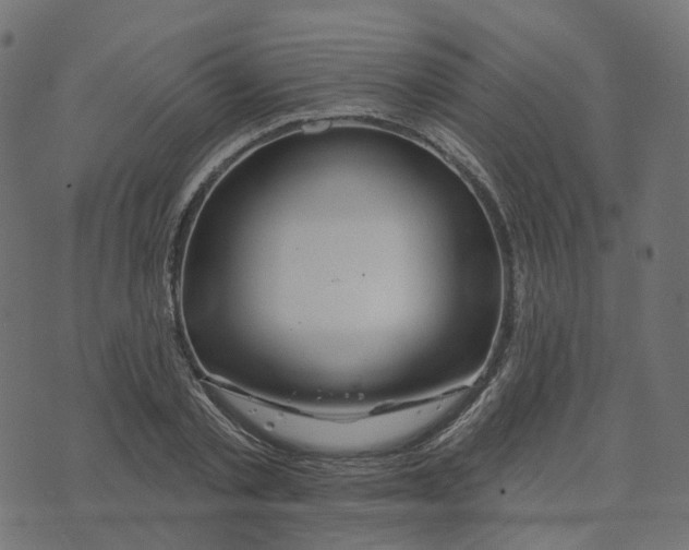 X0000073420789200608251549