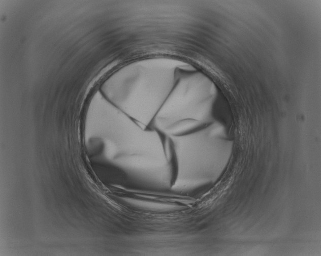 X0000073420790200608251549