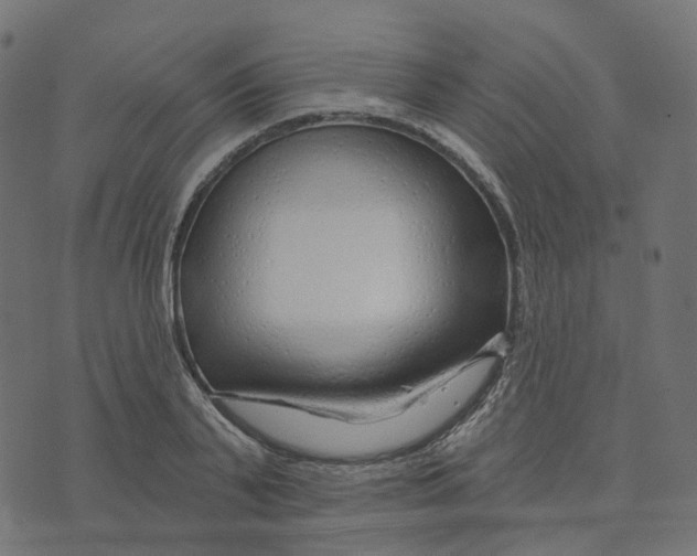 X0000073420791200608251549